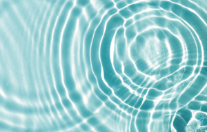 エンプロイーヘルス・マネジメント：従業員の心身の健康を保ち、組織の生産性を高める