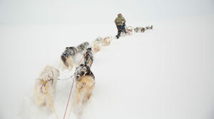 リーダーが自社のパーパスを活性化させる5つの方法