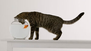 あなた自身が部下の生産性を下げる要因になっていないか