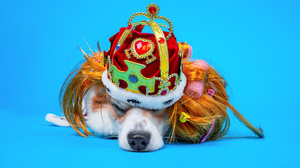 リーダーが権力を手にする過程で陥りやすい5つの罠