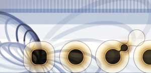 「再起力」の時代