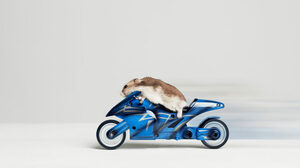 時代に乗り遅れる企業に足りない4つの要素