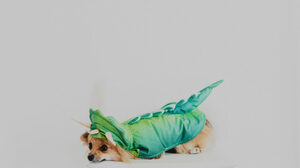 リーダーになることを避ける人が持つ3つの不安