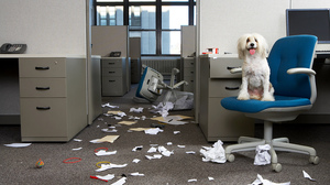 危機で奮起し、予防を怠る「消防士型上司」との付き合い方