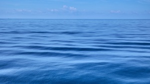 あなたの会社にブルー・オーシャン・シフトは必要か