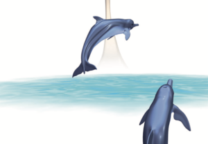 成果主義が「チーム力」を強化する