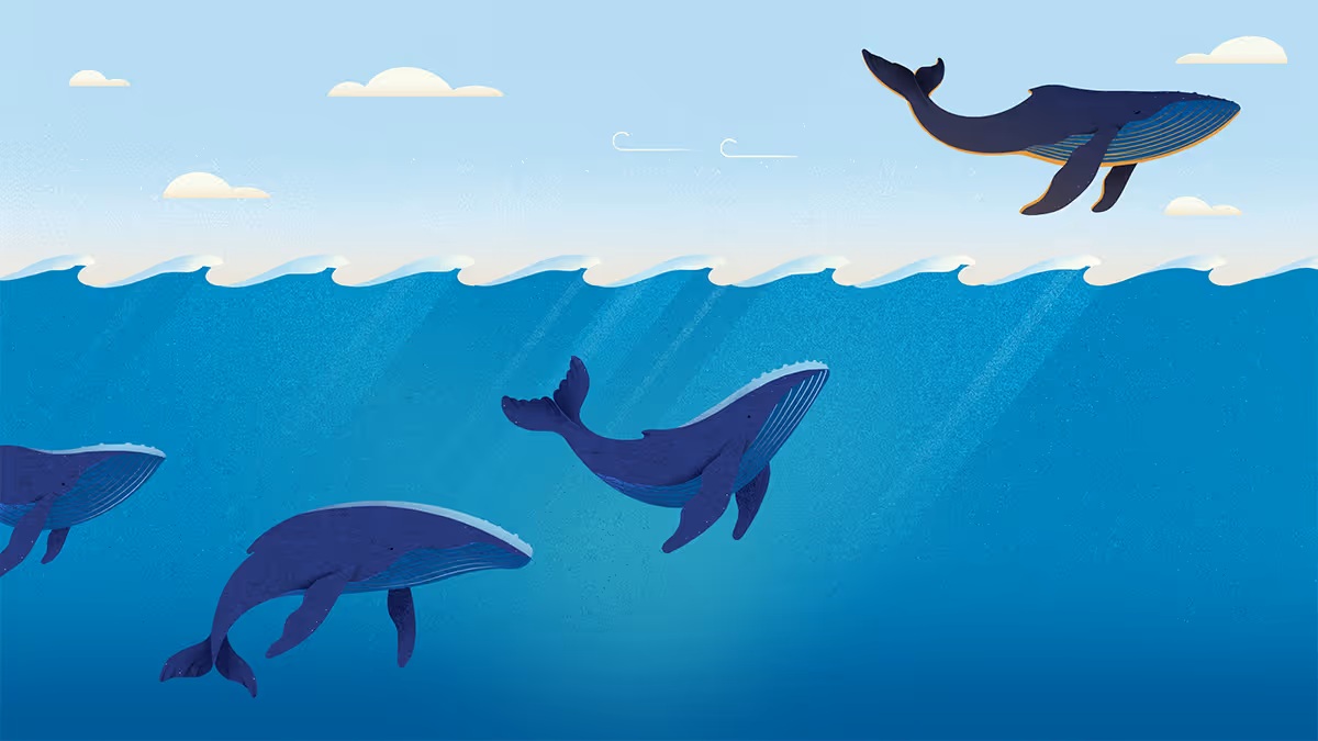 メンター制度をすべての従業員に提供すべき理由