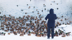 職場で幅広い人脈を築ける人は何が違うのか