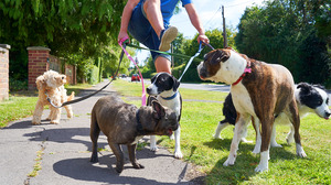 職場における問題の原因はシステムにある