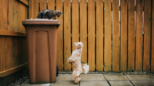 経営トップになりたければ、縄張り意識は捨てなさい