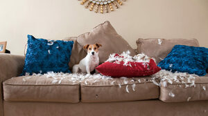 職場のやっかいな人から自分を守る方法