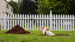 仕事へのやる気につながる報酬を獲得する5つのテクニック