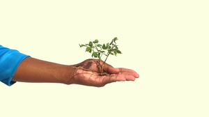 投資の社会的インパクトを適切に測定する新たな方法