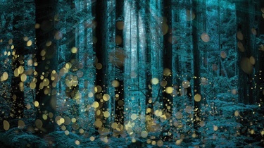 DIAMOND ハーバード・ビジネス・レビュー