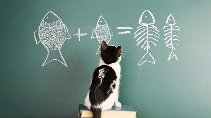 戦略の成否を分けるのは、策定力ではなく実行力である