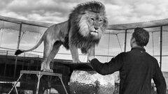 自社の戦略に生成AIを組み込む方法