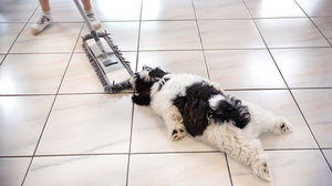 なぜ人は、退屈な仕事を面倒な方法でやろうとするのか