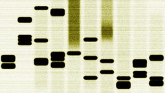 イノベーターのDNA