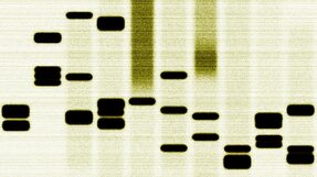 イノベーターのDNA