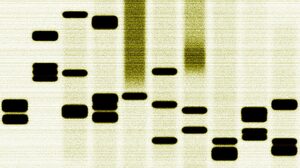 イノベーターのDNA