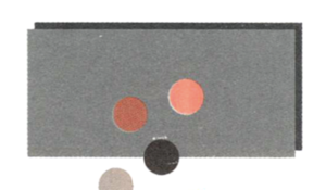 リージョン・ステート・システムの経済学