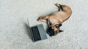 仕事のストレスから速やかに回復する5つの戦略