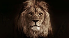 リーダーはいまこそ、勇気というスキルを身につけよ