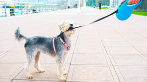 失敗続きのリーダーが再起するためのステップ