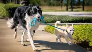 「誰かの役に立っている」という思いが、従業員のモチベーション低下を防ぐ