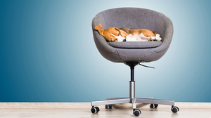 精神的な疲労を軽減し、生産性を高める3つの行動