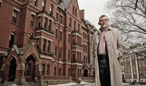 チームワークの嘘