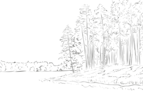 数値で管理すべきは結果よりプロセスである