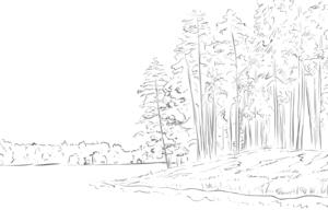 数値で管理すべきは結果よりプロセスである