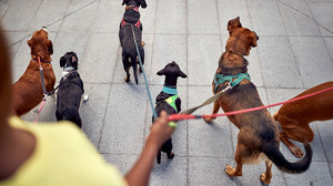 仕事を部下に任せられないリーダーが見直すべきタイムマネジメント