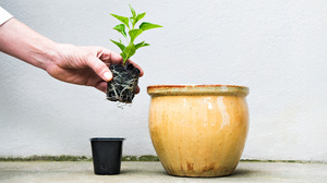 「Bコープ」はなぜ価値観を守りつつ規模の拡大も実現できたのか