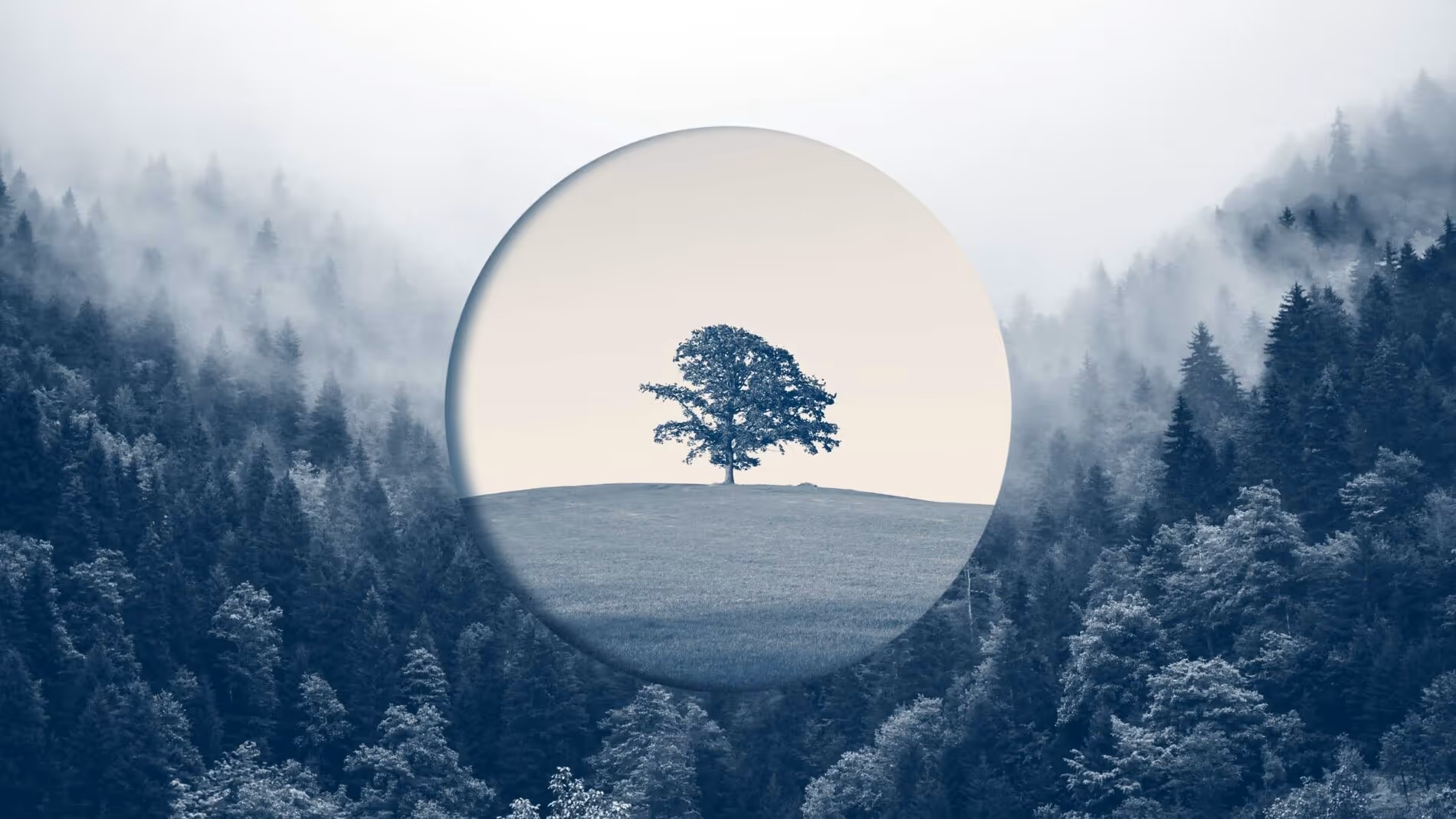 成熟企業が停滞を打破し、再成長するための4つの戦略