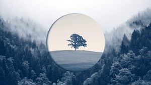 成熟企業が停滞を打破し、再成長するための4つの戦略