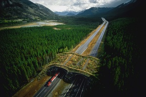 日本企業が大切に守り続けるべきもの