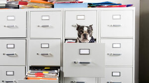 2022年にHBRで最も読まれた記事とは何か