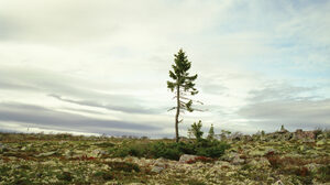 持続的成長を遂げる企業には優れた「仕組み」がある