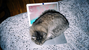 高収入、高学歴な人ほど在宅勤務の機会が多いという現実