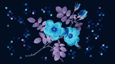 DIAMOND ハーバード・ビジネス・レビュー