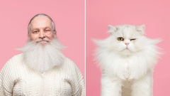 理想の共同創業者の見つけ方