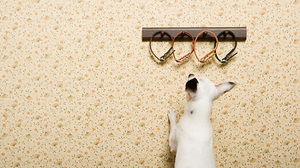 従業員に社内制度を積極的に活用させる方法