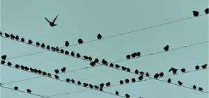 安易な人員削減では目先の効果すら得られない