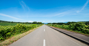 【第2回】デジタル化がもたらす日本企業らしい生産性向上の道筋