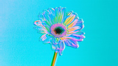 若い時に見ていたテレビが起業家精神をさらに駆り立てる