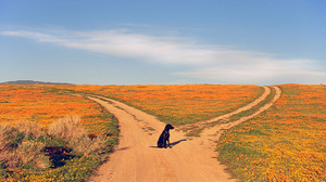 すぐに方針を変える上司とうまくつき合う5つの戦略