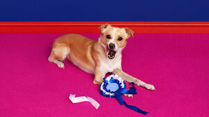 面接で「あなたの強みと弱みを教えてください」と聞かれたらどう答えるか