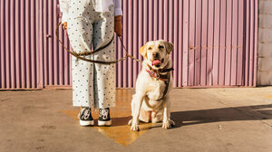 同僚からの嫌がらせを訴えても、上司が助けてくれない時の対処法